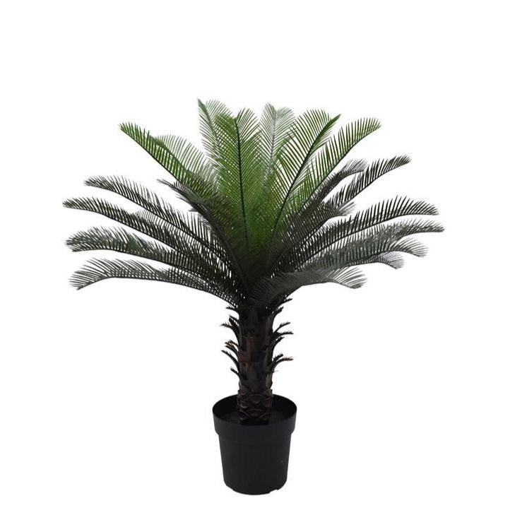 Cycas Palm Tree Potted 90cm - Destination Interiors