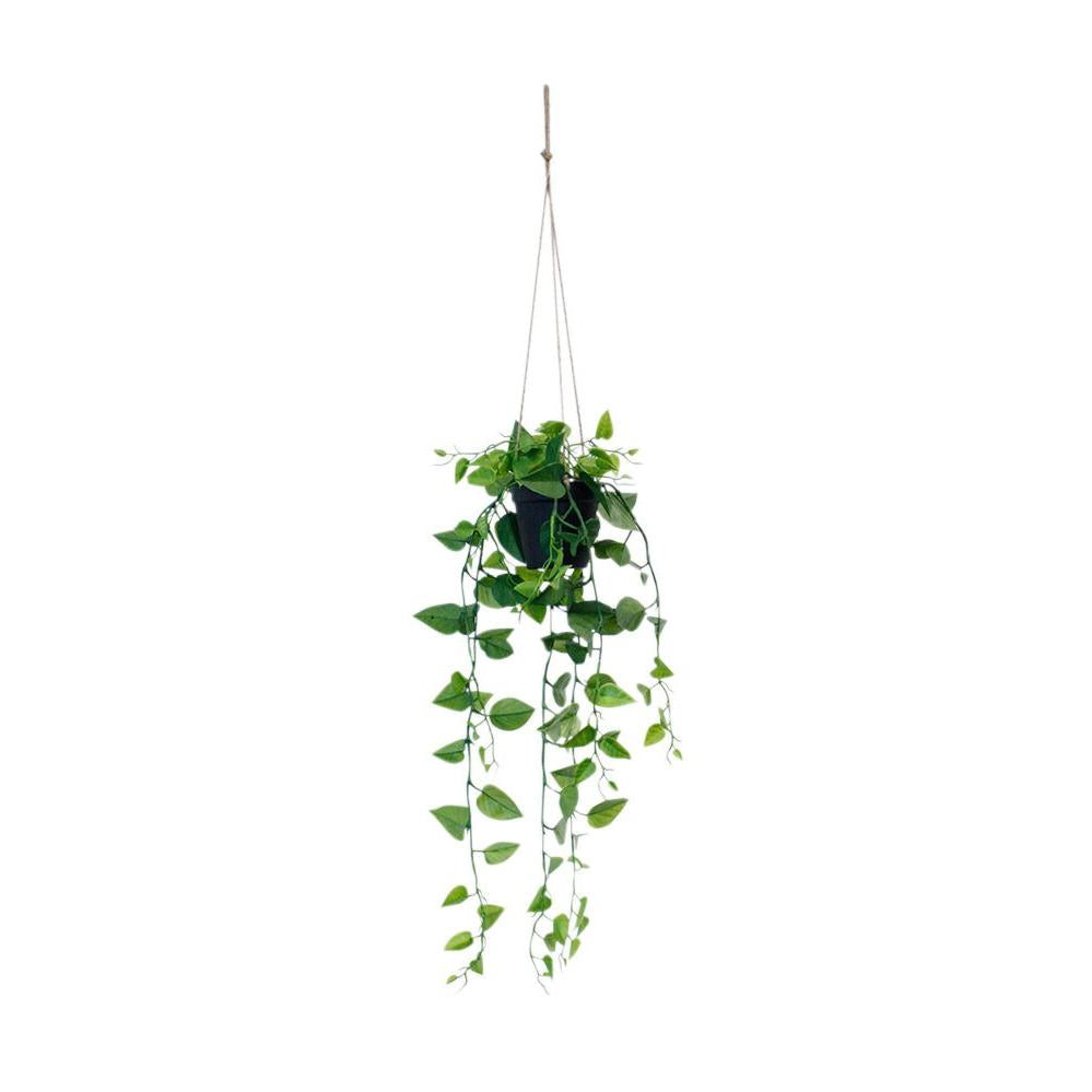 Jade Satin Scindapsus Potted Hanging - Destination Interiors