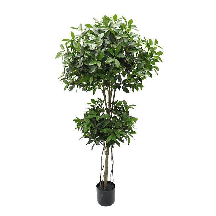 Shikiba Topiary Tree Potted 1.5m - Destination Interiors