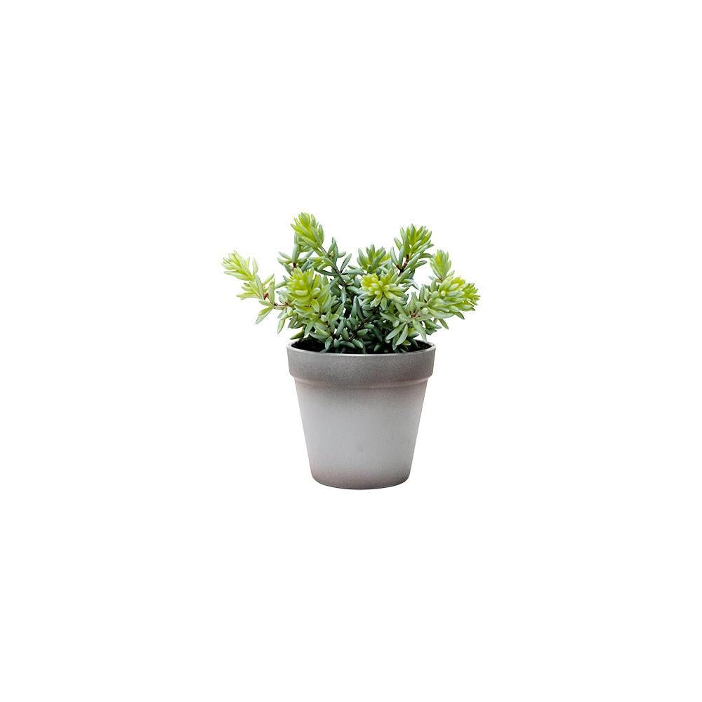 Homewares