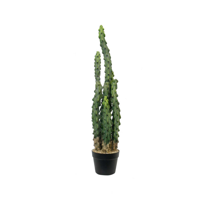 Cactus Potted 81cm - Destination Interiors