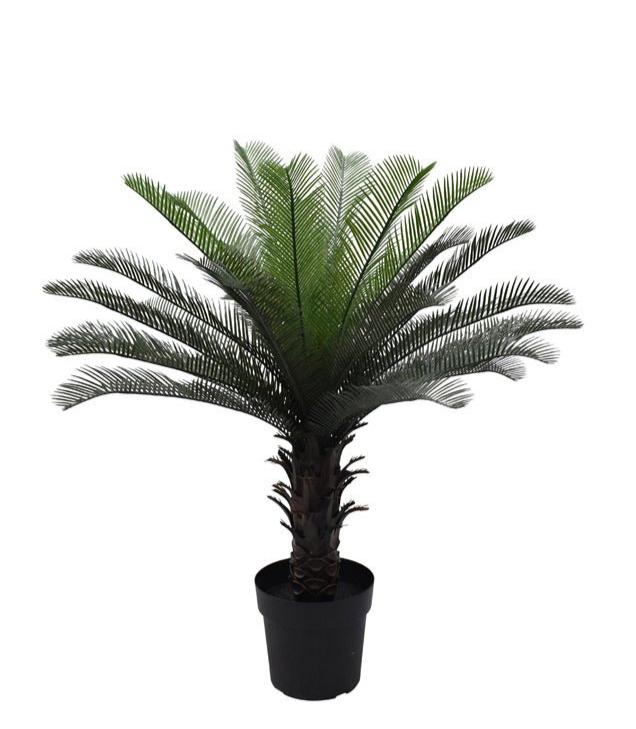 Cycas Palm Tree Potted 90cm - Destination Interiors