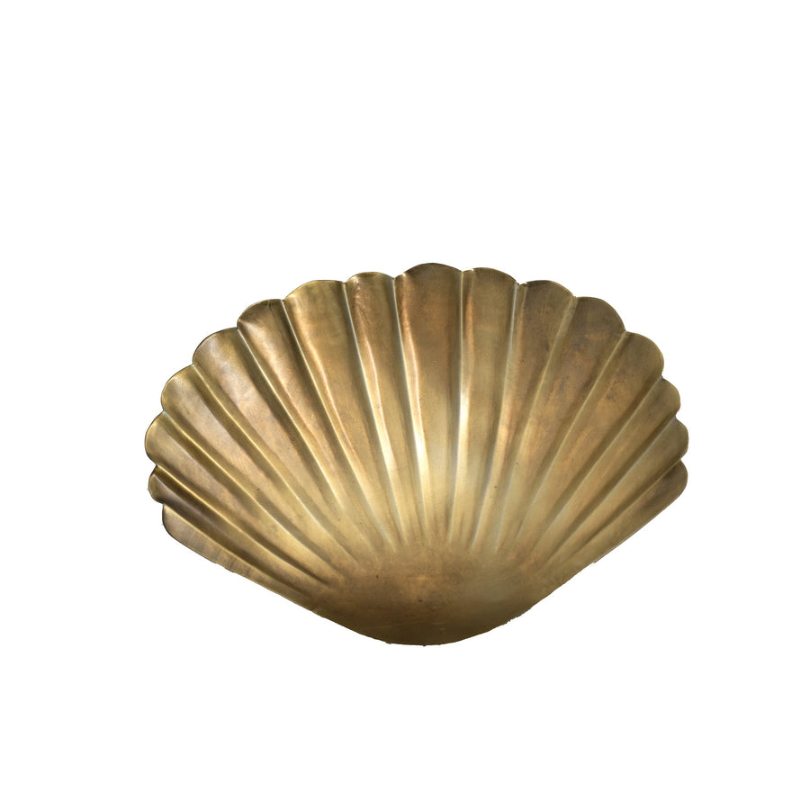 Decorative Shell Tray Medium - Destination Interiors