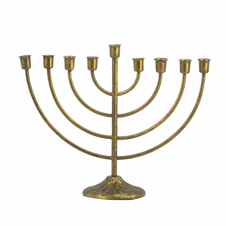 Donalt 9 Arm Candelabra - Destination Interiors