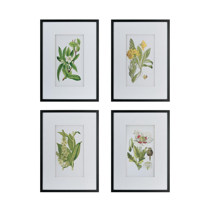 FLORES BOTANICAL PRINT SET/4 - PRE ORDER FOR LATE JULY DELIVERY - Destination Interiors