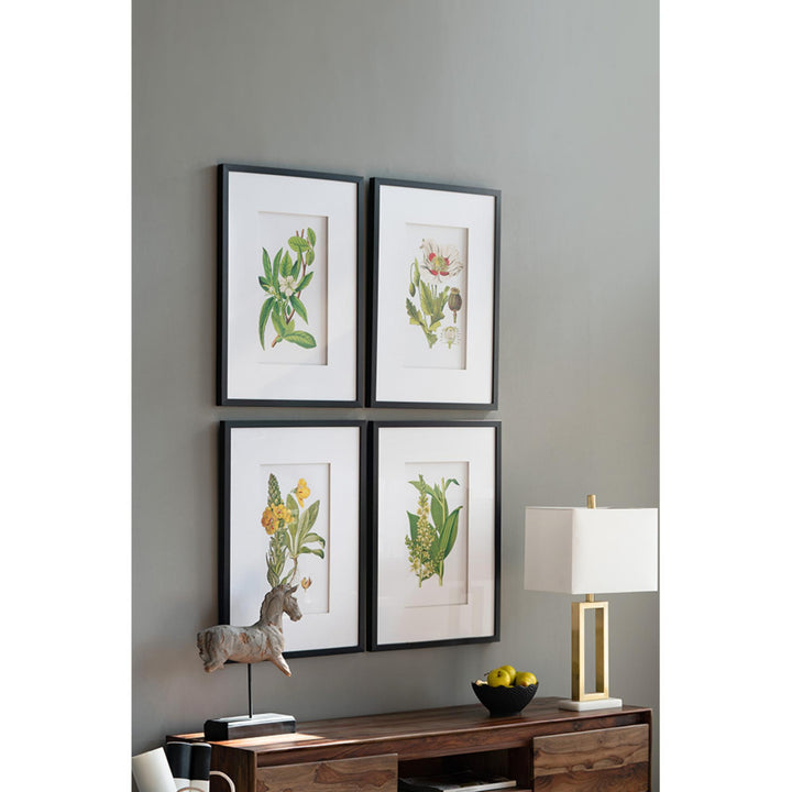 FLORES BOTANICAL PRINT SET/4 - PRE ORDER FOR LATE JULY DELIVERY - Destination Interiors