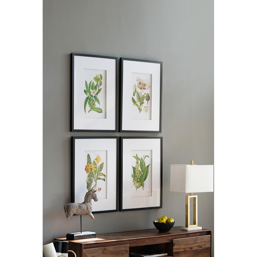 FLORES BOTANICAL PRINT SET/4 - PRE ORDER FOR LATE JULY DELIVERY - Destination Interiors