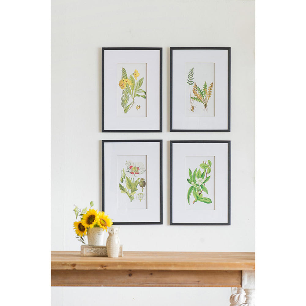 FLORES BOTANICAL PRINT SET/4 - PRE ORDER FOR LATE JULY DELIVERY - Destination Interiors