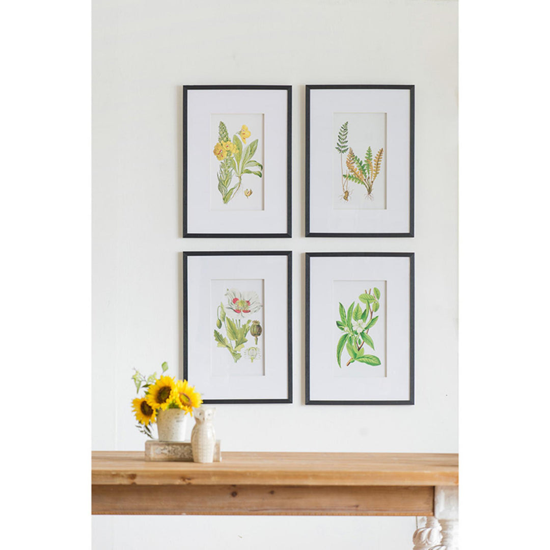 FLORES BOTANICAL PRINT SET/4 - PRE ORDER FOR LATE JULY DELIVERY - Destination Interiors