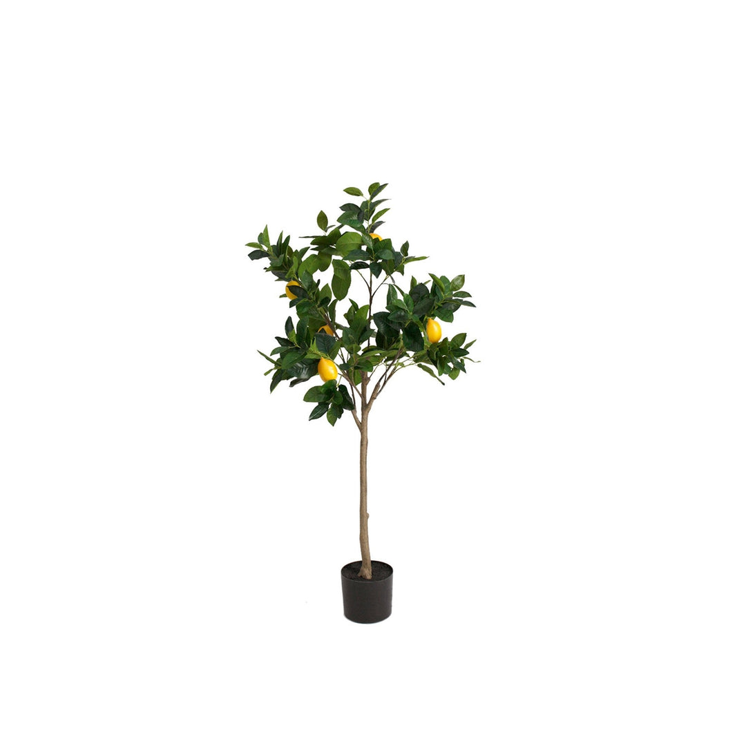 Lemon Topiary Tree 1.35m - Destination Interiors