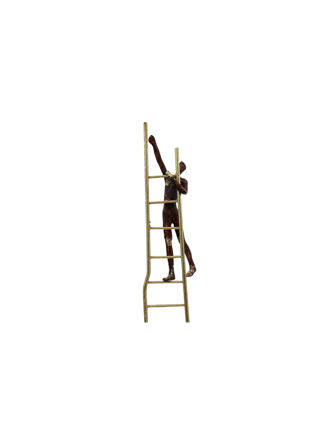 Man Climbing on Ladder - Destination Interiors